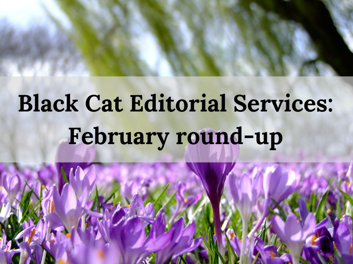 The Black Cat monthly round-up: February&nbsp;2026