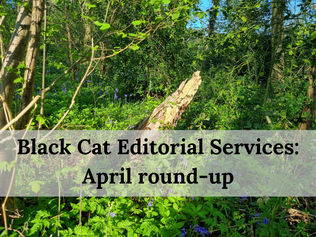 The Black Cat monthly round-up: April&nbsp;2026