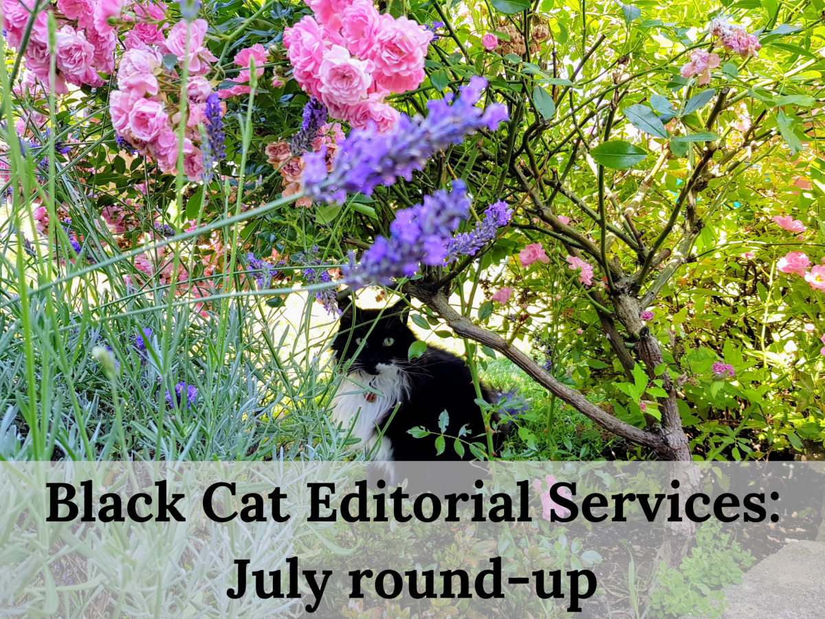 The Black Cat monthly round-up: July&nbsp;2026