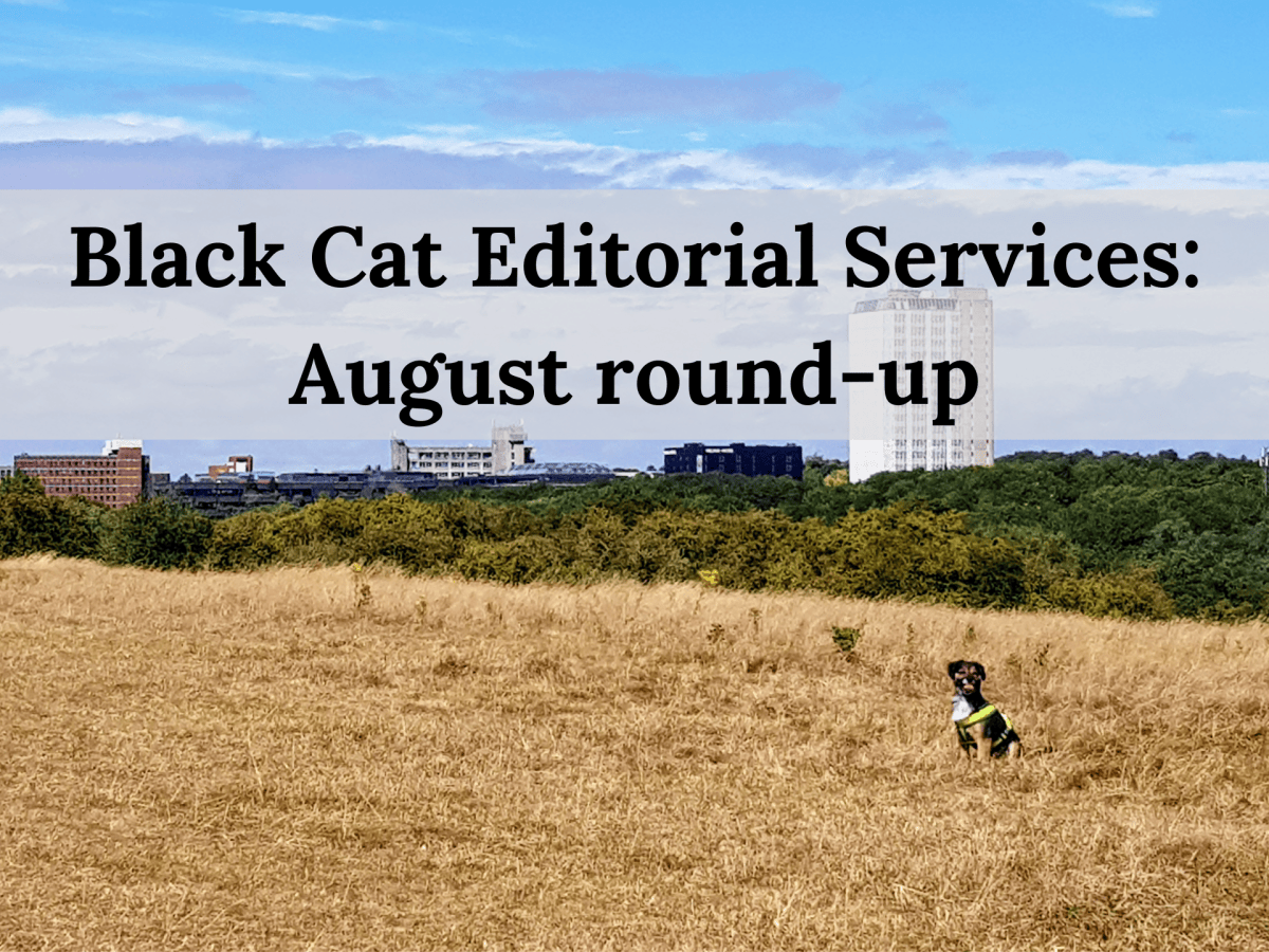 The Black Cat monthly round-up: August&nbsp;2026