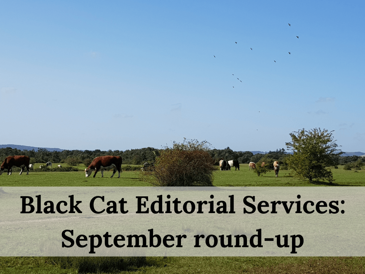The Black Cat monthly round-up: September&nbsp;2026